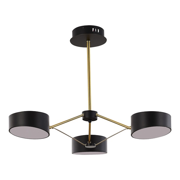 Потолочная светодиодная люстра Evoluce Valle SLE6005-402-03 Фото № 1