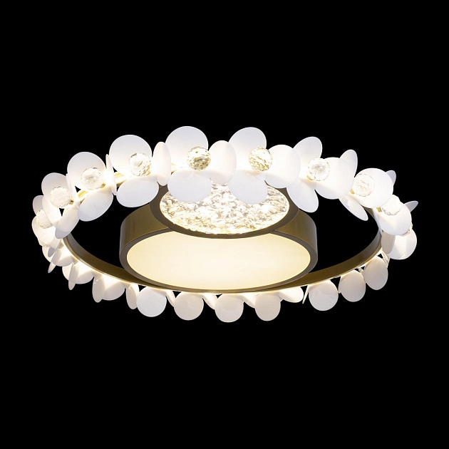 Потолочный светодиодный светильник Loft IT Bride 10174 изображение 3 Потолочный светодиодный светильник Loft IT Bride 10174 Фото № 3