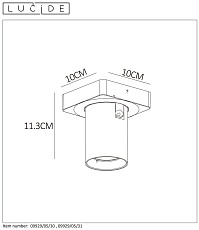 Спот Lucide Nigel 09929/05/31 2