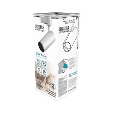 Трековый светодиодный светильник Gauss Track Light Led TR068 2