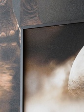 Картина Lumina Deco FP Elephant 80-120 3