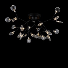 Потолочная люстра Freya Florencia FR5049CL-27B 2