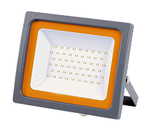 Прожектор светодиодный Jazzway PFL-SC 50W 6500K 5001435 1