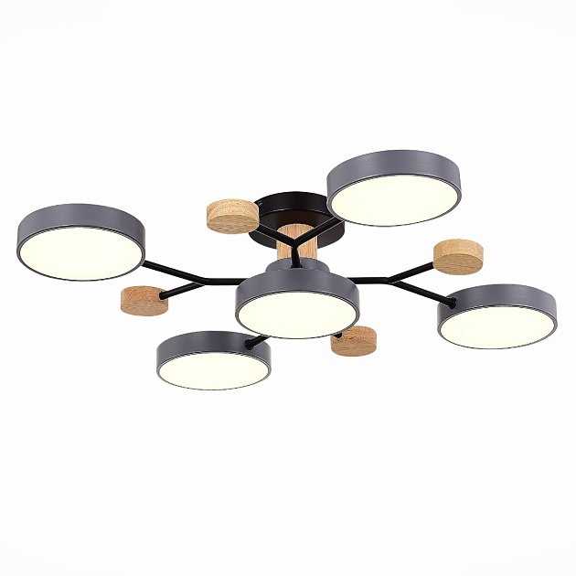 Потолочная светодиодная люстра Evoluce FAEMA SLE6006-702-05 Фото № 1