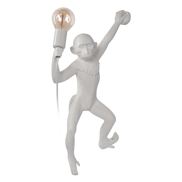 Настенный светильник Loft IT Monkey 10314W/A Фото № 1