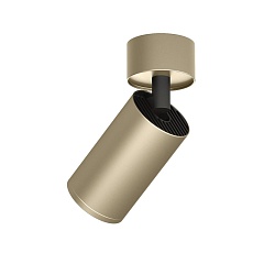 Накладной светильник Denkirs DK2029-GG 1