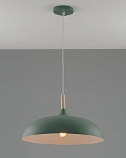 Подвесной светильник Moderli Hygo V11453-1P 5