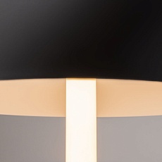 Настольная лампа Maytoni Ray Z012TL-L8B3K 3