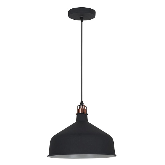 Подвесной светильник Camelion PL-425L C62 13029 изображение 1 Подвесной светильник Camelion PL-425L C62 13029 Фото № 1