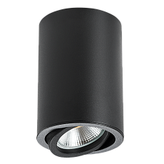 Потолочный светильник Lightstar Rullo 214407 1