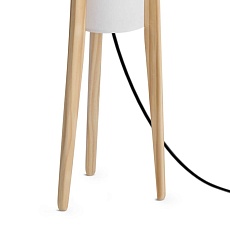 Торшер Freya FR5543FL-01T 5