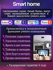 Потолочная светодиодная люстра Natali Kovaltseva Smart Home Led Lamps 81214 2
