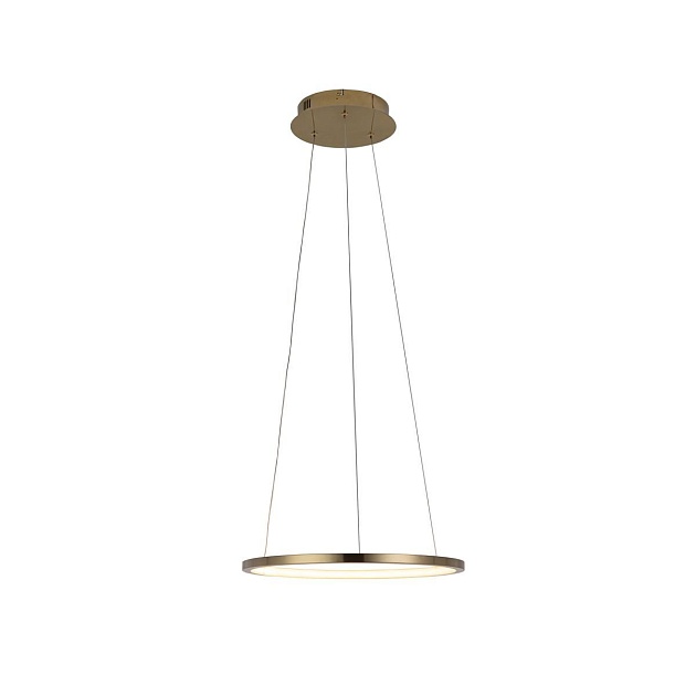 Подвесной светодиодный светильник Loft IT Ring 10014S изображение 3 Подвесной светодиодный светильник Loft IT Ring 10014S Фото № 3
