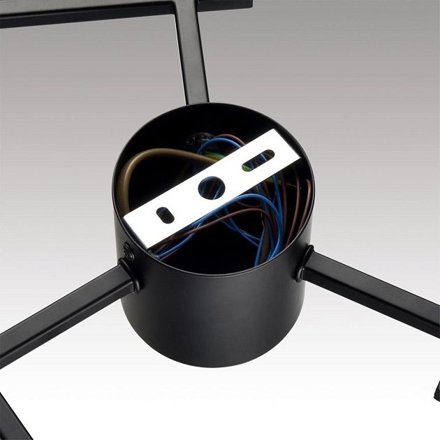 Потолочная люстра Lumion Comfi Dabra 8186/6C Фото № 3