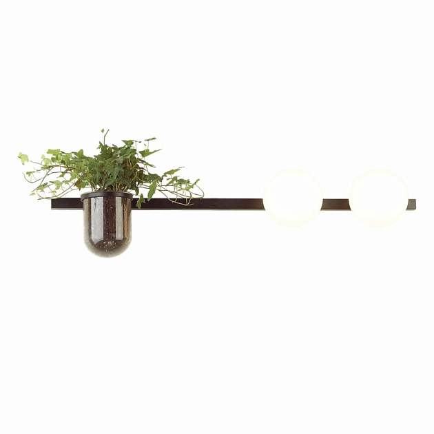 Настенный светильник Odeon Light Walli Flower 4681/2W изображение 2 Настенный светильник Odeon Light Walli Flower 4681/2W Фото № 2