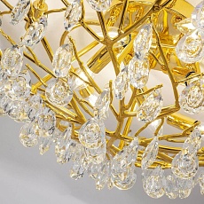 Потолочная люстра Favourite Pluvia 4162-10C 2