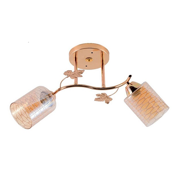 Потолочный светильник ЭкономСвет 12167/2FGD BR+WT Фото № 1