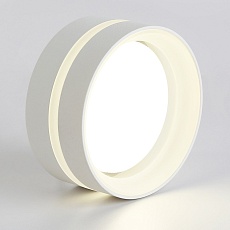 Потолочный светильник Ambrella light TN5419 1