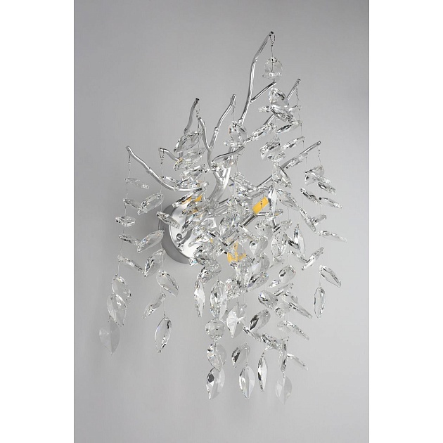 Настенный светильник Aployt Gertunia APL.847.11.03 Фото № 10