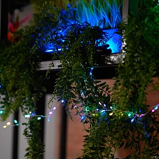 Светодиодная гирлянда Кластер (на проволоке) Feron CL584 линейная 12м мультиколор, c питанием от сети 230V, прозрачный шнур 51449 2