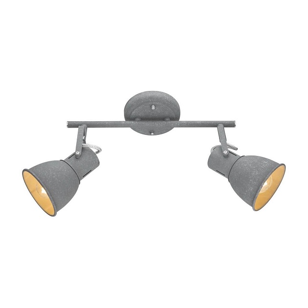 Спот Arte Lamp A1677PL-2GY изображение 1 Спот Arte Lamp A1677PL-2GY Фото № 1