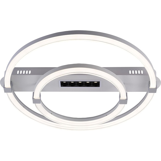 Потолочный светодиодный светильник Escada Aspect 10253/2LED изображение 1 Потолочный светодиодный светильник Escada Aspect 10253/2LED Фото № 1