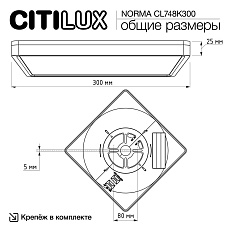 Потолочный светодиодный светильник Citilux Norma CL748K300 4