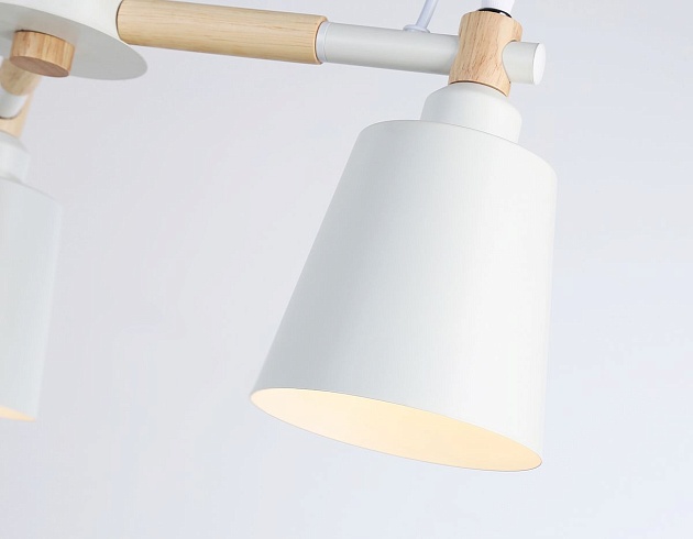 Потолочная люстра Ambrella light Traditional Loft TR82204 изображение 5 Потолочная люстра Ambrella light Traditional Loft TR82204 Фото № 5