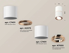 Комплект потолочного светильника Ambrella light Techno Spot XS (C7401, A2073, C7401, N7005) XS7401220 2