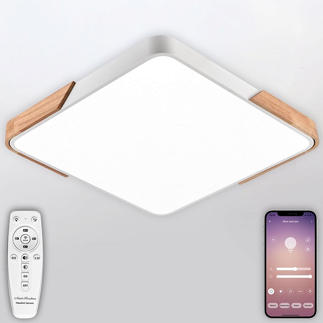 Потолочный светодиодный светильник Natali Kovaltseva LED LAMPS 81411 изображение 6 Потолочный светодиодный светильник Natali Kovaltseva LED LAMPS 81411 Фото № 6