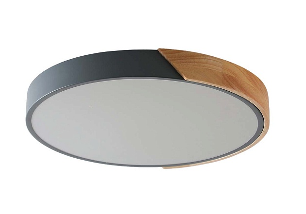 Потолочный светильник Zortes ALBERRO ZRS.01280.48 Фото № 5