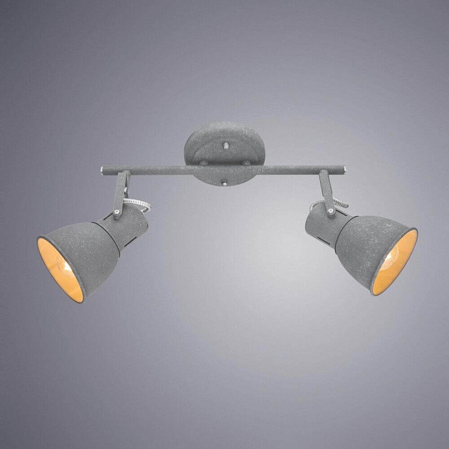 Спот Arte Lamp A1677PL-2GY изображение 2 Спот Arte Lamp A1677PL-2GY Фото № 2