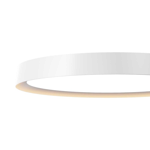 Потолочный светильник Maytoni MOD426CL-L43WK Фото № 6