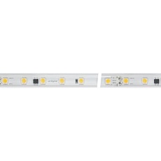 Светодиодная влагозащищенная лента Arlight 8W/m 54LED/m 5060SMD холодный белый 10M 029403(2) 1