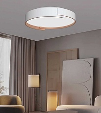 Люстра потолочная Alfa Light F0724-31