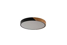 Потолочный светильник Zortes ALBERRO ZRS.01237.90 1