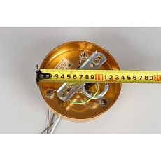 Подвесная люстра Aployt Gertunia APL.847.03.13 2