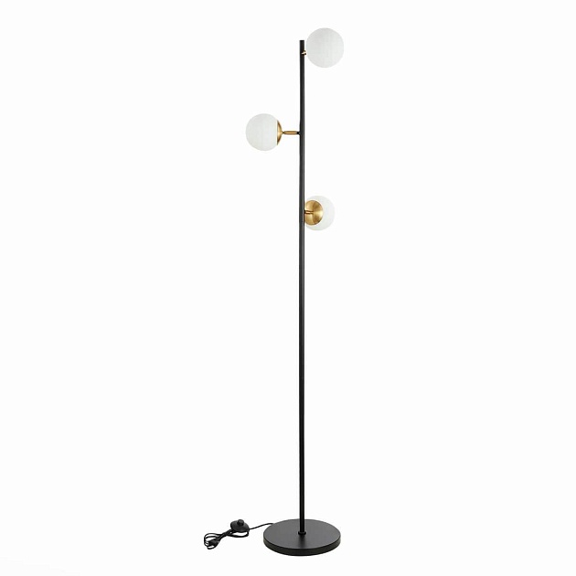 Торшер Evoluce FORLI SLE220405-03 изображение 2 Торшер Evoluce FORLI SLE220405-03 Фото № 2