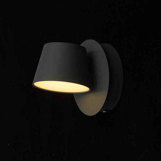 Настенный светильник De Markt Хартвиг 2 717020501 Фото № 2