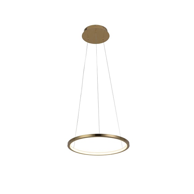 Подвесной светодиодный светильник Loft IT Ring 10014S изображение 1 Подвесной светодиодный светильник Loft IT Ring 10014S Фото № 1