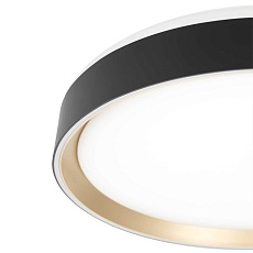 Потолочный светодиодный светильник Citilux Boss CL751351G 4