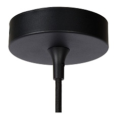 Подвесной светильник Lucide Favori 09434/01/30 2