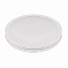 Накладной светильник LEEK LE061100-0056