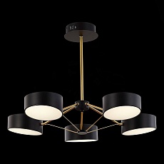 Потолочная светодиодная люстра Evoluce Valle SLE6005-402-05 4