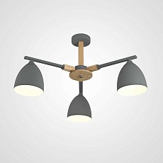 Потолочная люстра Imperium Loft Noa 101838-26