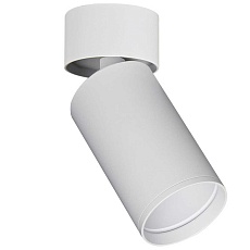 Светильник потолочный ST Luce ST171.502.01