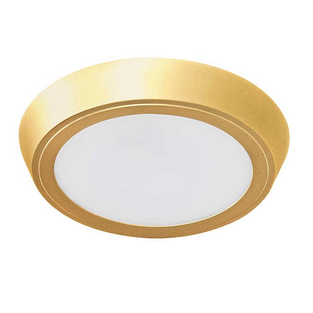 Потолочный светодиодный светильник Lightstar Urbano 216932 изображение 1 Потолочный светодиодный светильник Lightstar Urbano 216932 Фото № 1