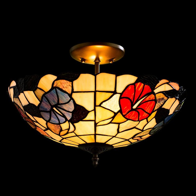 Потолочный светильник Arte Lamp Florizel A3165PL-2BG Фото № 2