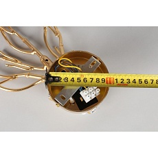 Настенный светильник Aployt Gertunia APL.847.01.03 2