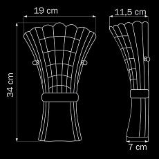 Настенный светильник Lightstar Zucche 820629 2